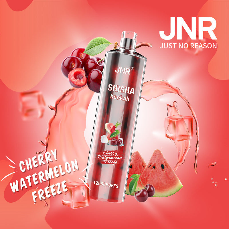 JNR Shisha Hookah 12 000