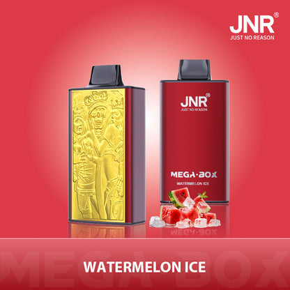 JNR Mega Box 25 000 - Boîte De 10