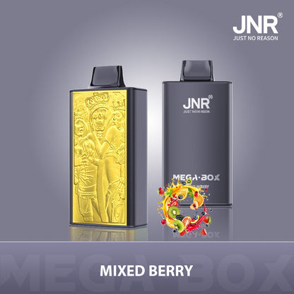 JNR Mega Box 25 000 - Boîte De 10