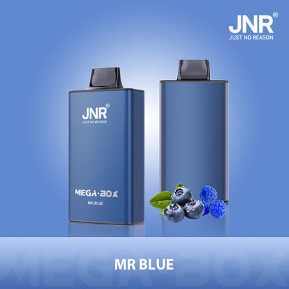 JNR Mega Box 25 000 - Boîte De 10